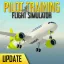 Иконка игры Pilot Training Flight Simulator