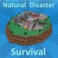 Иконка игры Natural Disaster Survival
