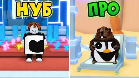 ПОЛНЫЙ ГАЙД ПО ПРОКАЧКЕ В ПЕТ СИМУЛЯТОР 99